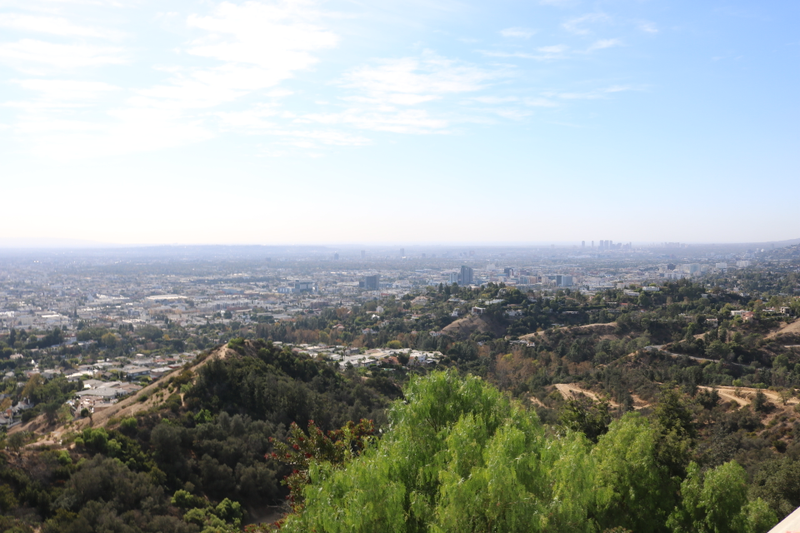 Illustration for article titled Griffith Park Photodump